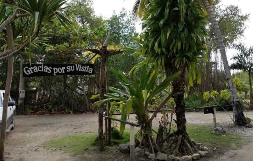 Playa Paraiso en Magante