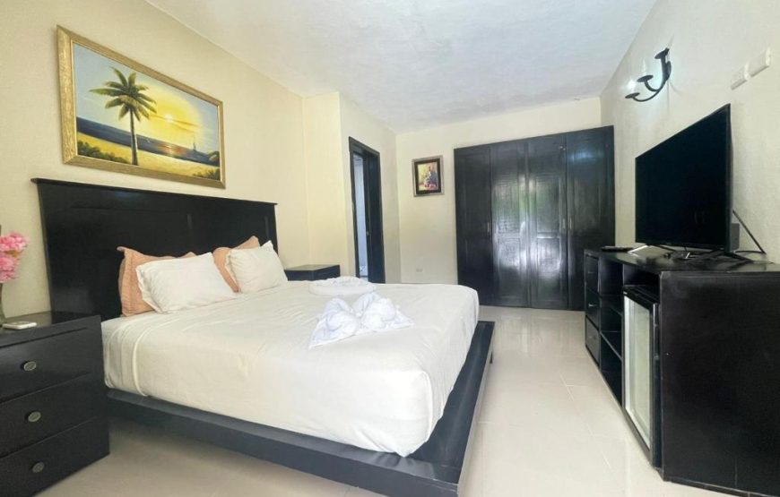 hotel plaza BRISAS MT